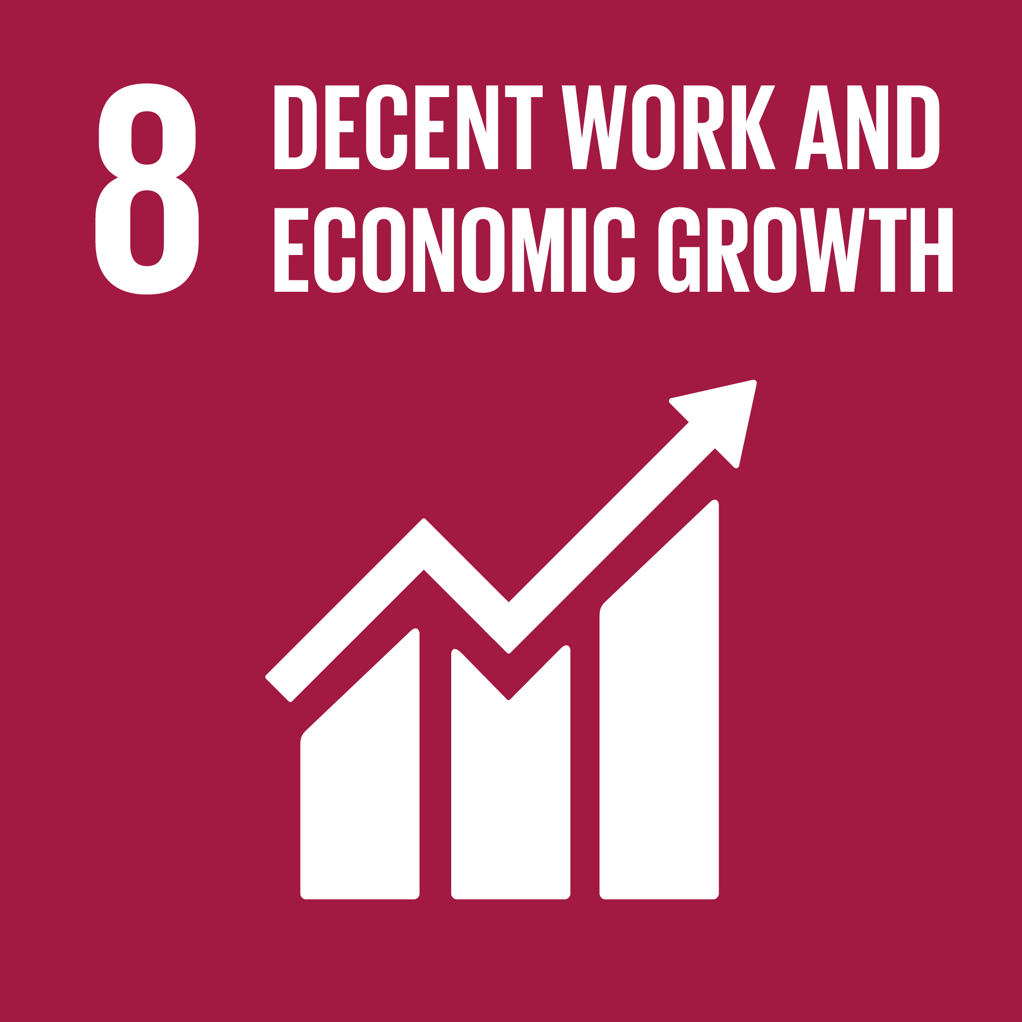 Payzone SDG 8