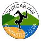 Dungarvan gymnastics