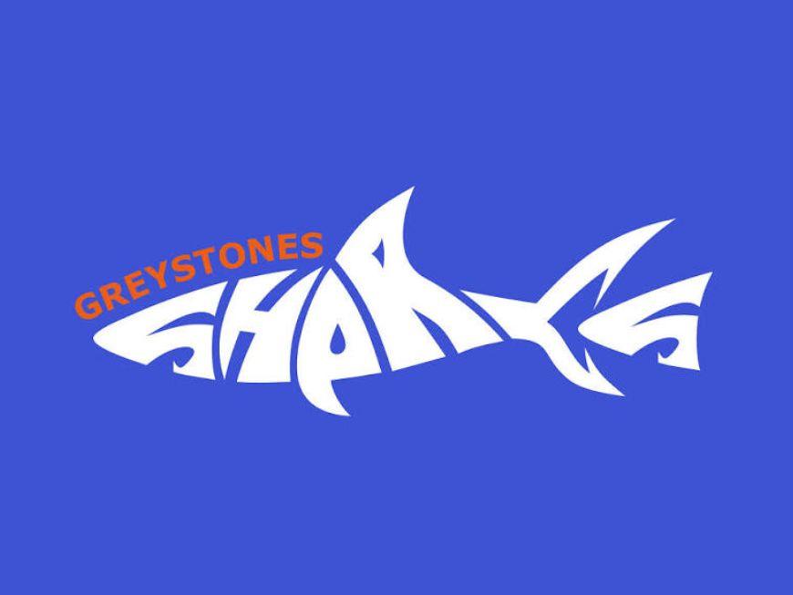 Greystones sharks Payzone online payment platform