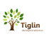 Tiglin donor payzone